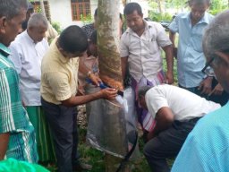 Rain Guard Training Programme
